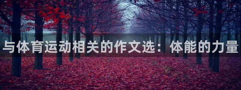 利记官网下载平台是正规平台吗:与体育运动相关的作文选:体能的