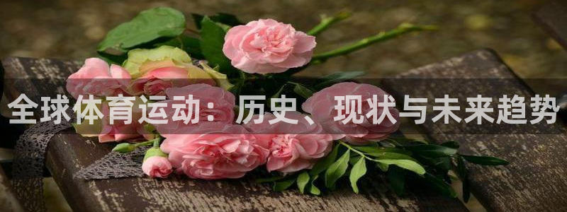 利记官方正版app娱乐首页网站大全:全球体育运动:历史、现状